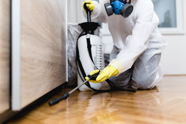  Fountain Hills, AZ Pest Control Pros