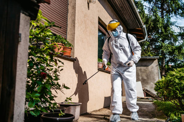 Pest Control for Restaurants in Fountain Hills, AZ