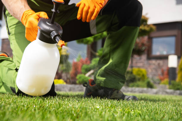 Best Best Pest Control Companies  in Fountain Hills, AZ