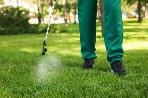 Best Flea Control Services  in Fountain Hills, AZ