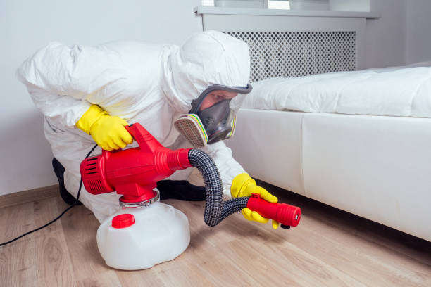 Trusted Fountain Hills, AZ Pest Control Experts