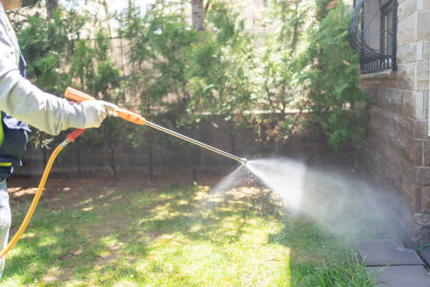 Best Flea Control Services  in Fountain Hills, AZ
