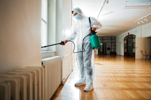 Best Affordable Pest Control Services  in Fountain Hills, AZ